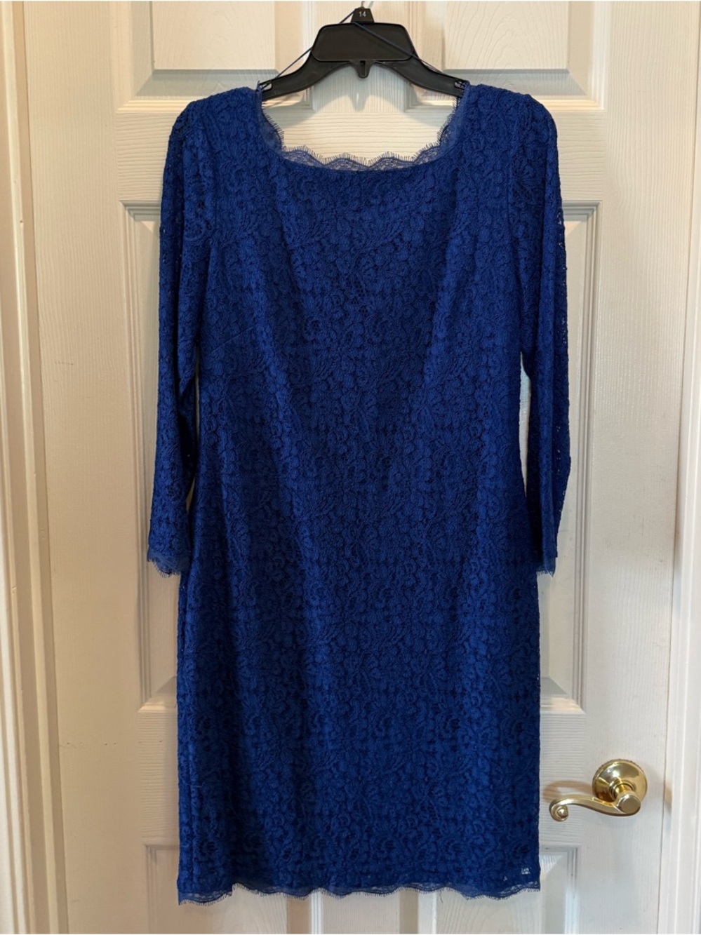 Adrianna Papell Royal Blue Lace Long Sleeve Sheath Dress